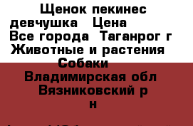 Щенок пекинес девчушка › Цена ­ 2 500 - Все города, Таганрог г. Животные и растения » Собаки   . Владимирская обл.,Вязниковский р-н